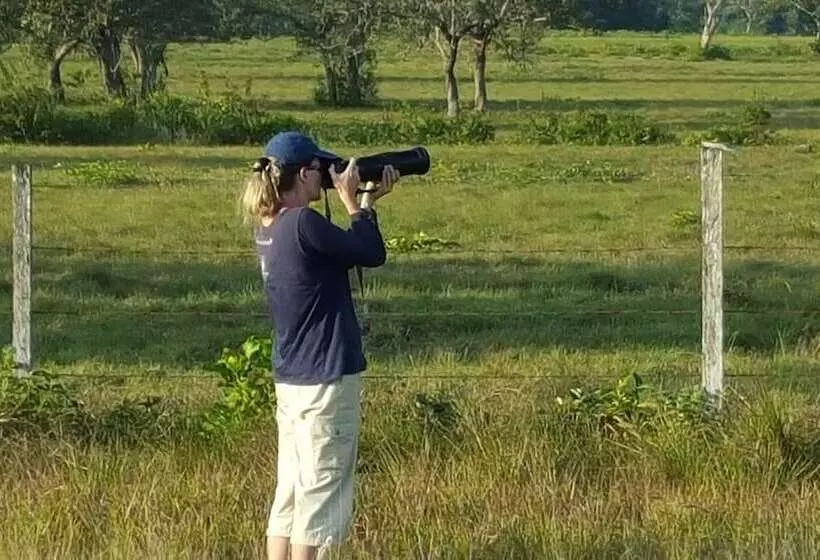 ペンション Rock Farm Guest House