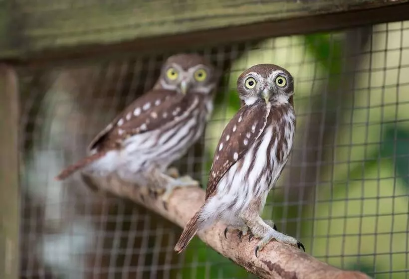 ペンション Rock Farm Guest House