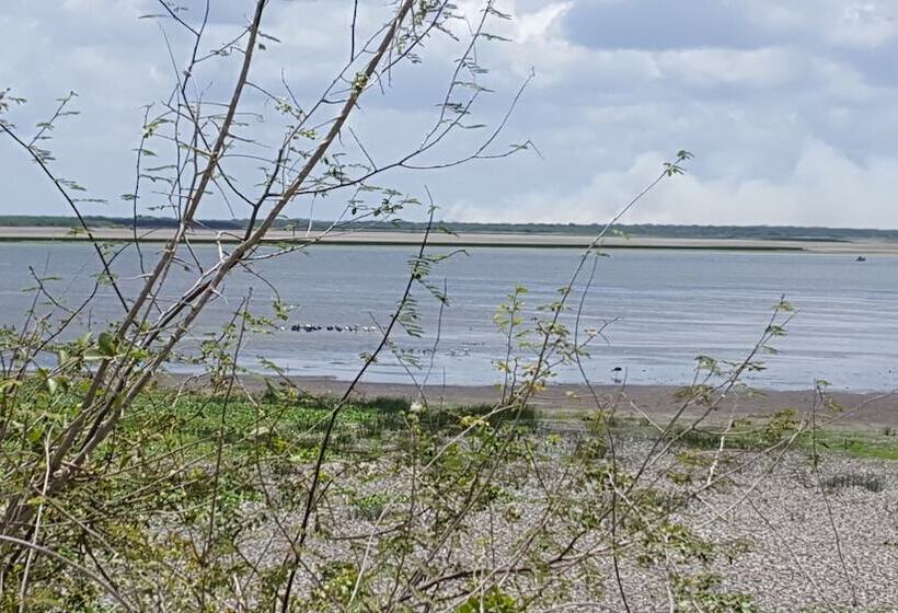 بنسيون Rock Farm Guest House