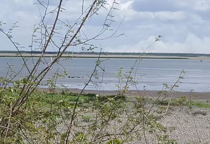 ペンション Rock Farm Guest House