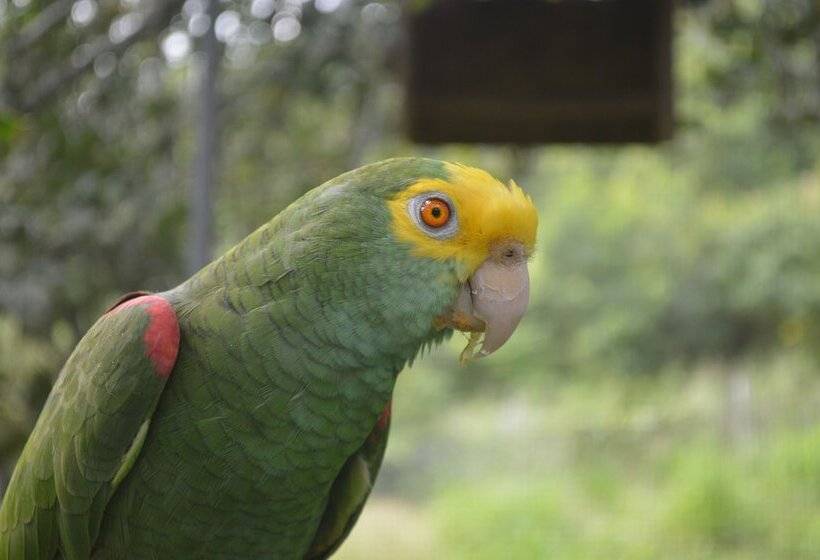 بنسيون Rock Farm Guest House