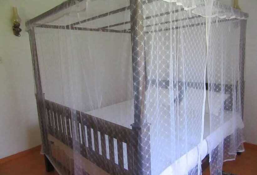 بنسيون The Colonial Villa