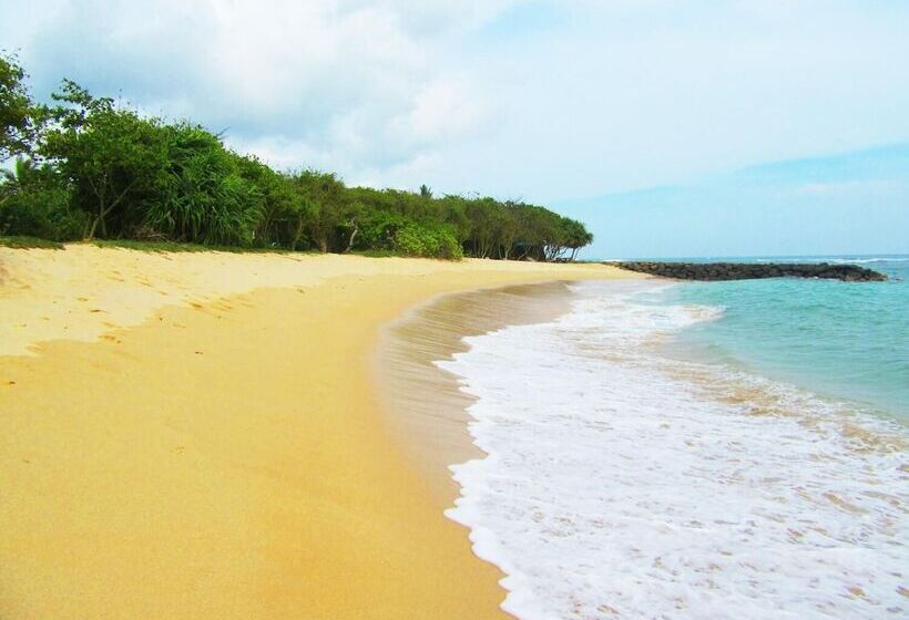 بنسيون The Colonial Villa