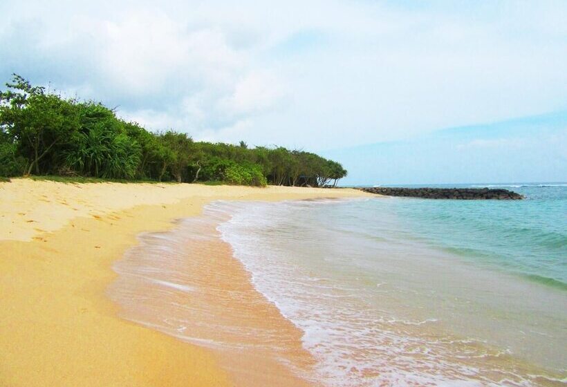 بنسيون The Colonial Villa