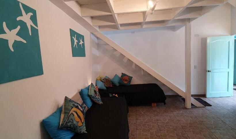 پانسیون & Apartments Chez Hiva