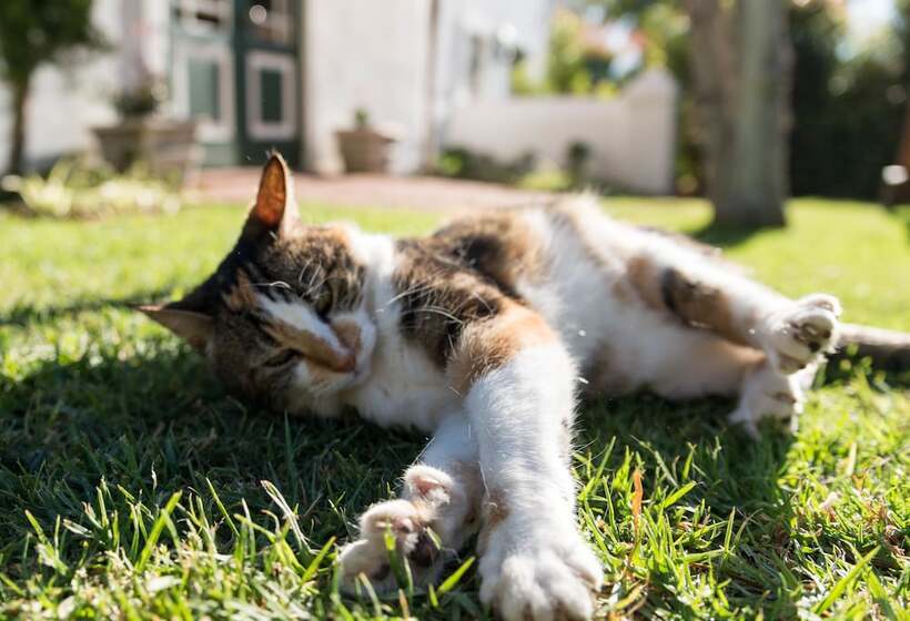 بنسيون De Bergkant