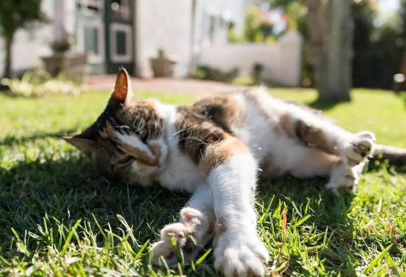 Majatalo De Bergkant