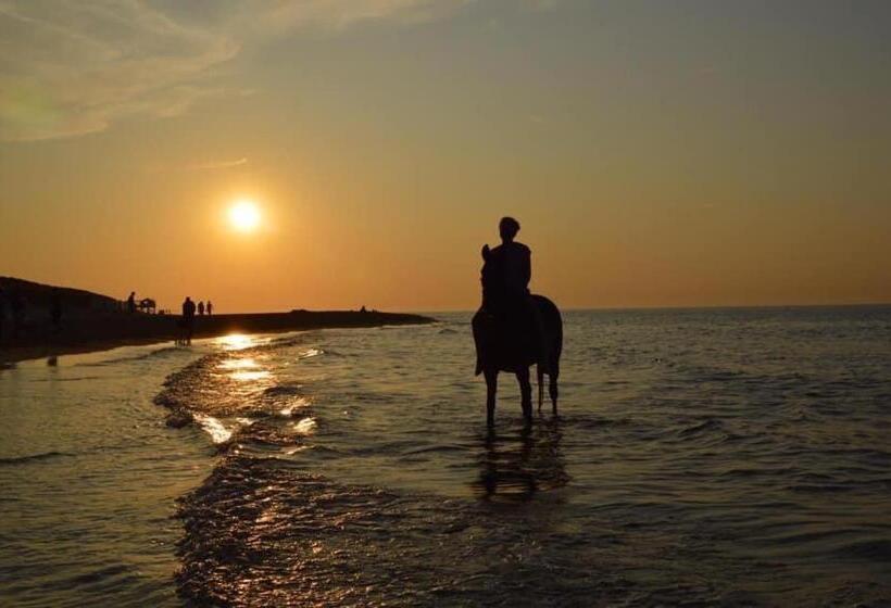 بنسيون Lise S Place