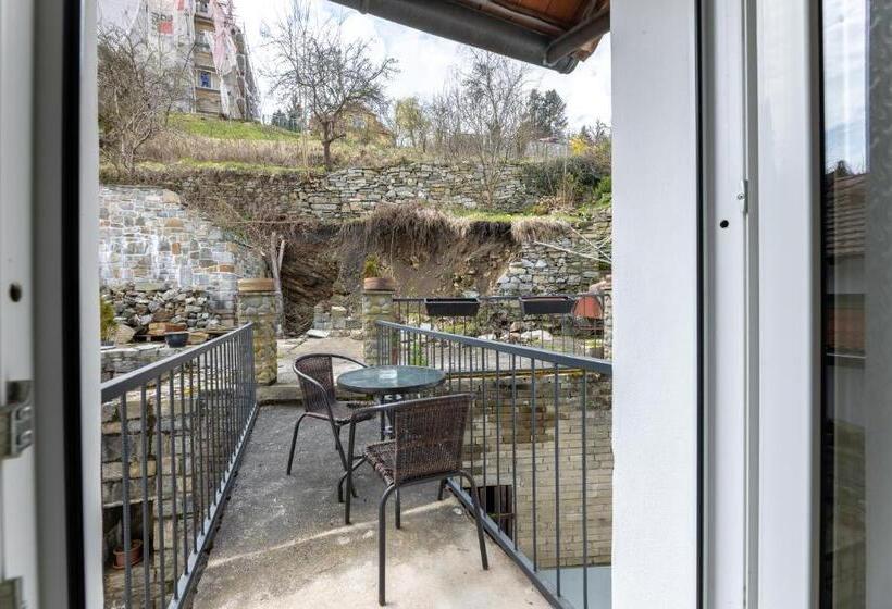 پانسیون Apartmány U Pavla