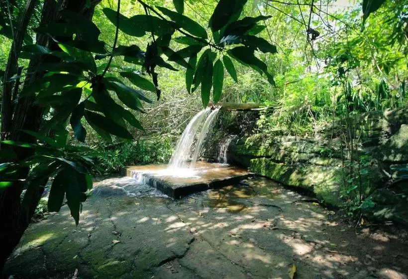 ペンション Pousada Estação Bananeiras