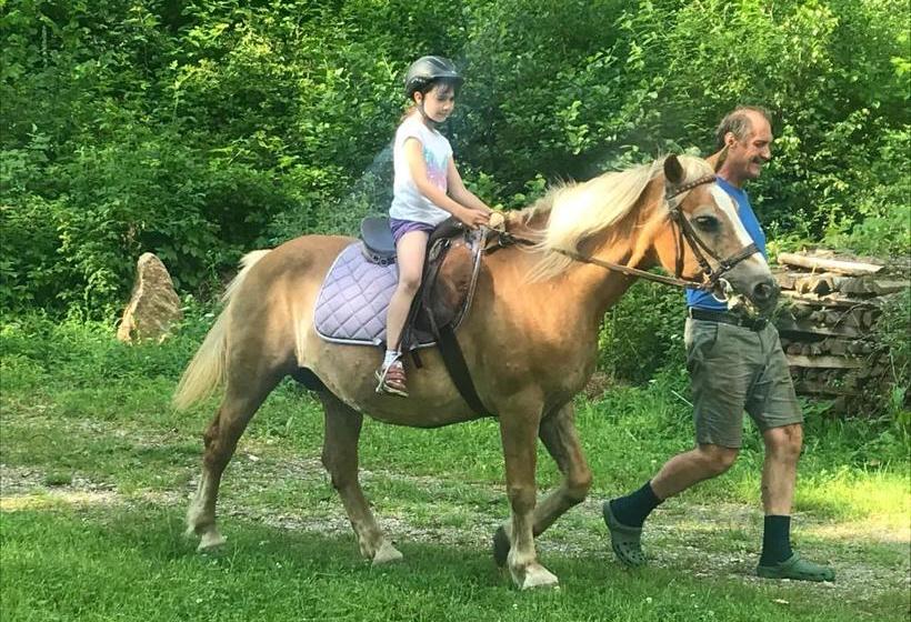 فندق صغير Lug Ins Land