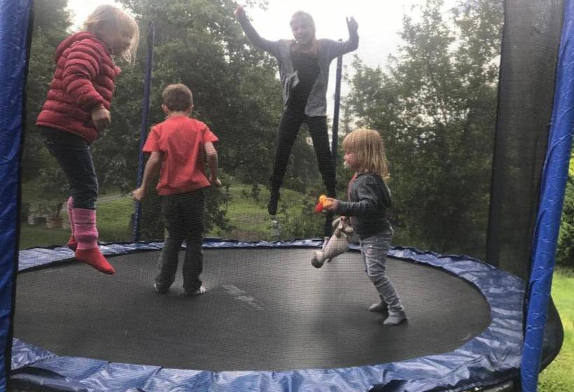 فندق صغير Lug Ins Land