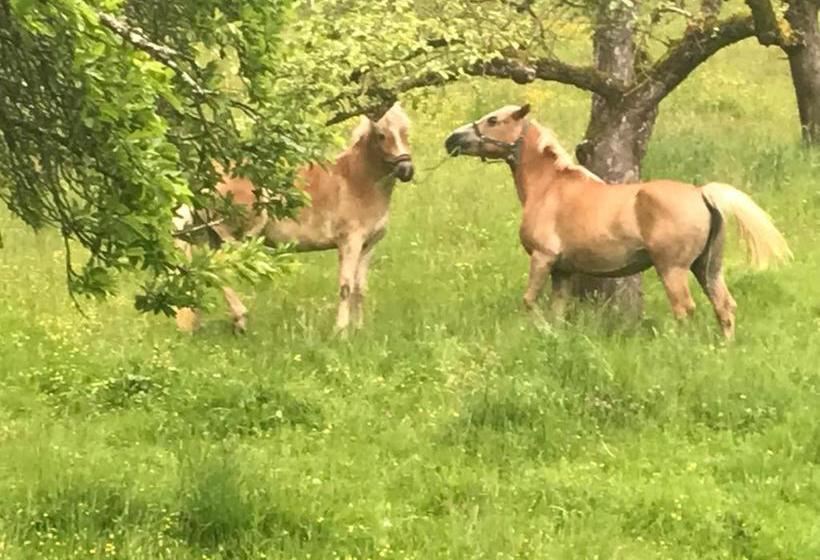 فندق صغير Lug Ins Land