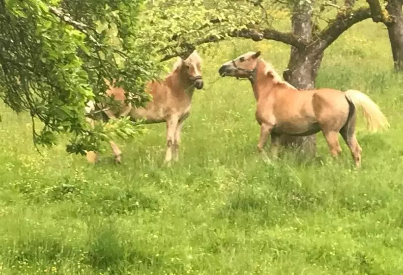 ユースホステル Lug Ins Land