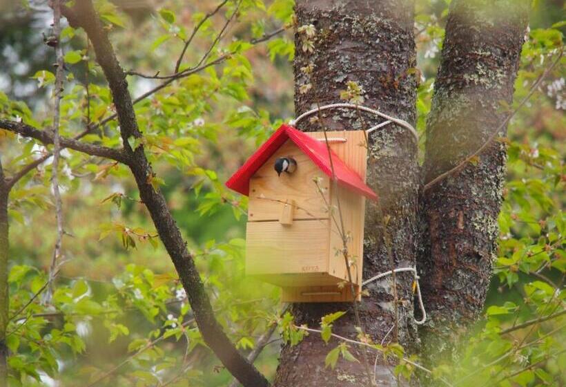 Pensão Koya Backpackers