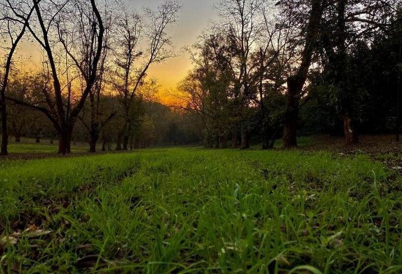 Panzió Pecan Farm Guesthouse