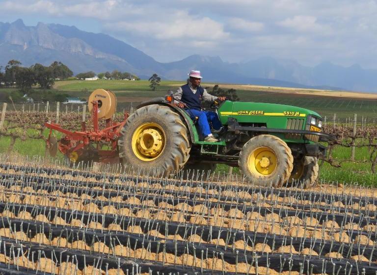 پانسیون Rooiheuwel Cottage