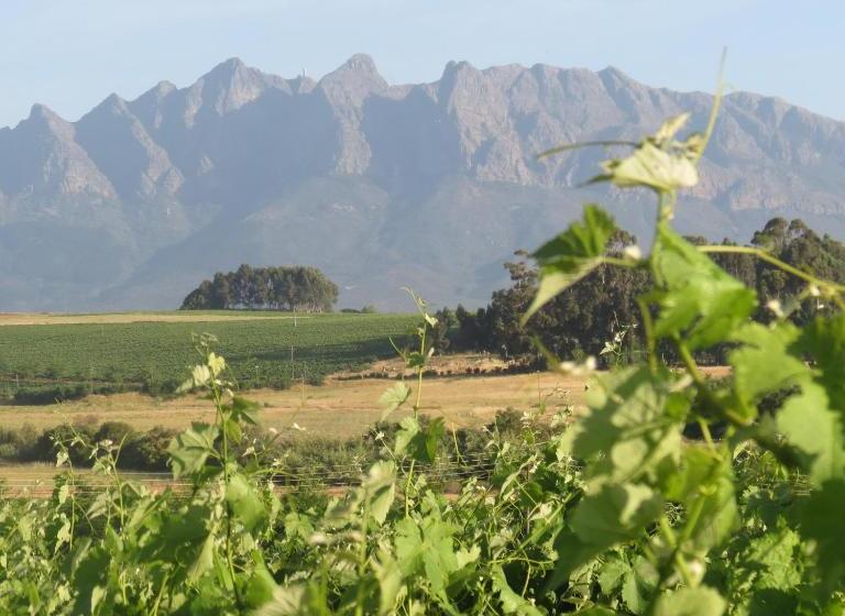 پانسیون Rooiheuwel Cottage