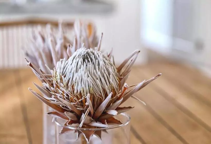 Majatalo The Vishuis