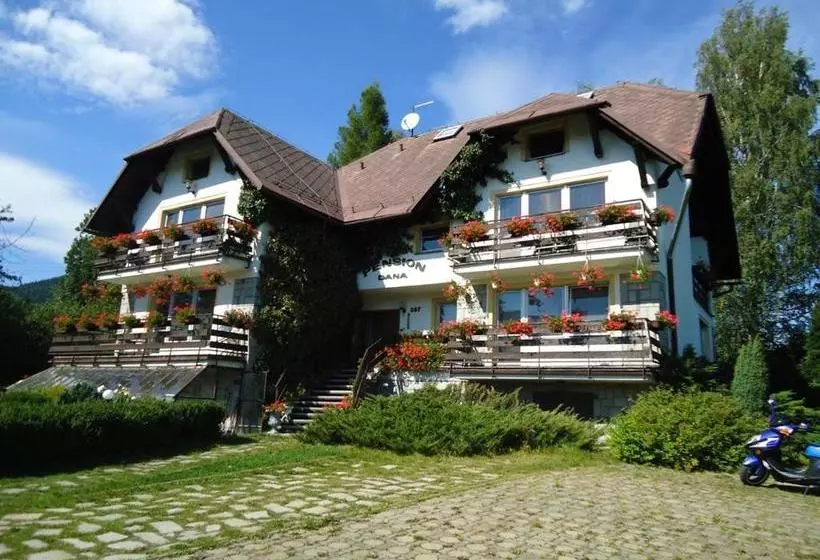 Pension Dana