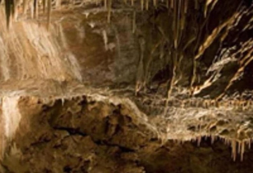 ユースホステル Blue Spruce Inn Meeker, Colorado