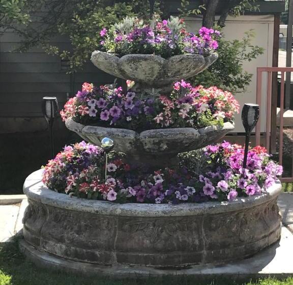 ユースホステル Blue Spruce Inn Meeker, Colorado