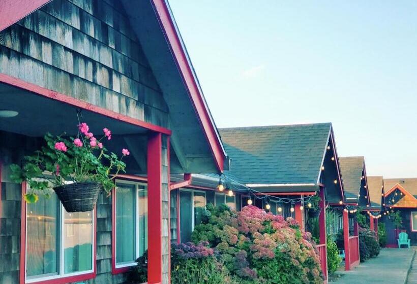 ユースホステル Surf & Sand Inn