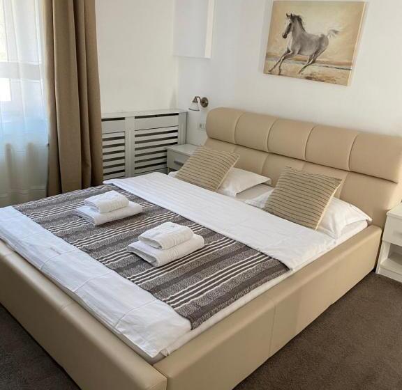 پانسیون Guest House Piatra Craiului