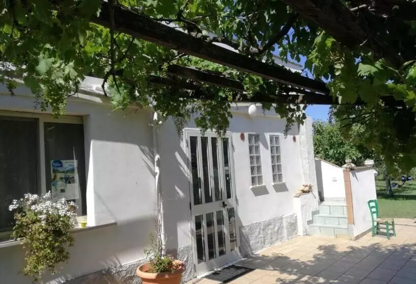 ホテル Relais Il Giardino Fra Gli Ulivi
