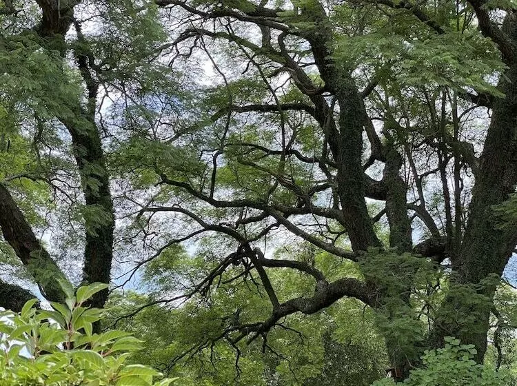 ホテル Waterberg Cottages, Private Game Reserve