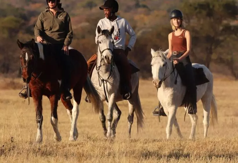 ホテル Waterberg Cottages, Private Game Reserve