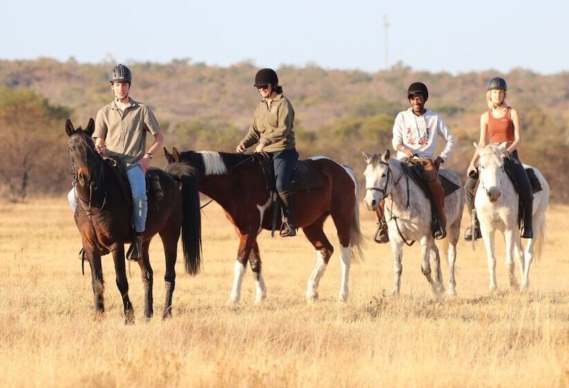 בית מלון כפרי Waterberg Cottages, Private Game Reserve