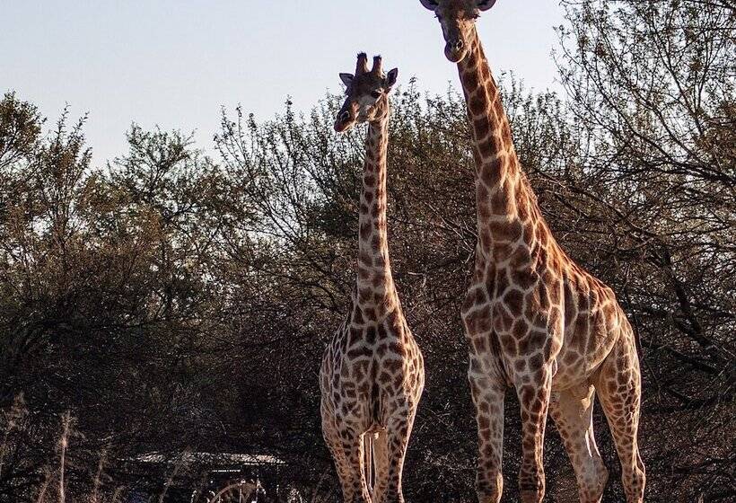בית מלון כפרי Waterberg Cottages, Private Game Reserve