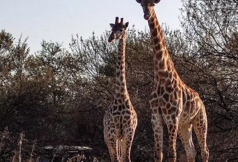 ホテル Waterberg Cottages, Private Game Reserve