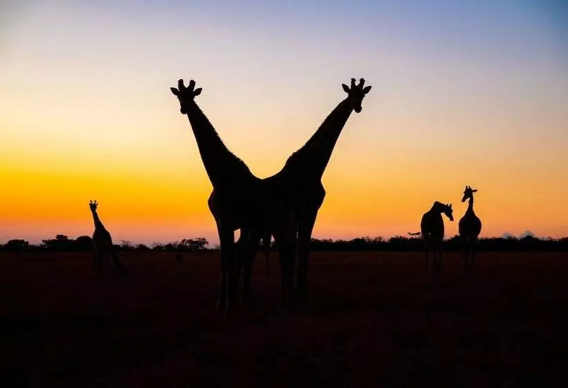 ホテル Waterberg Cottages, Private Game Reserve