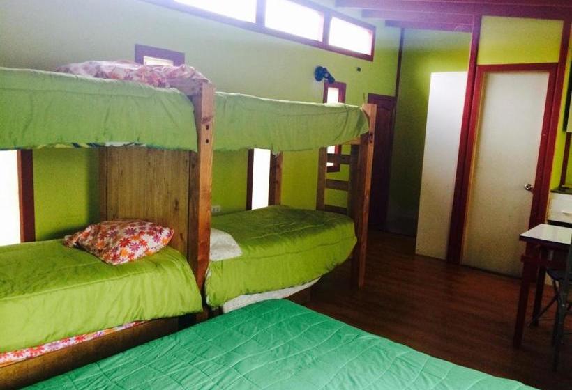 Nomades Chiloe Apart