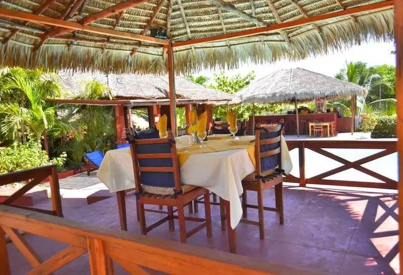 Pension (Hôtel basse catégorie) Edena Kely