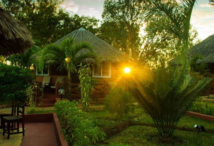 پانسیون Edena Kely