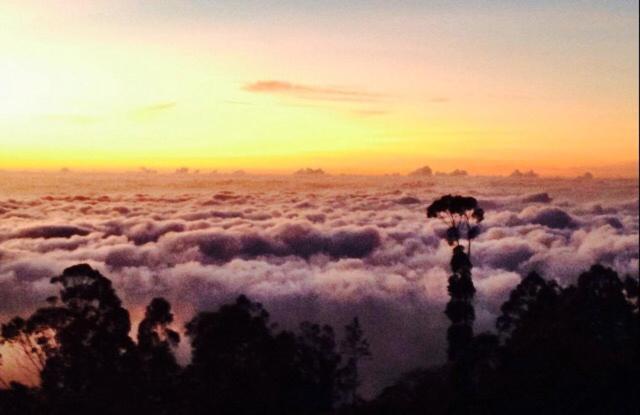 بنسيون Farah Guest Inn