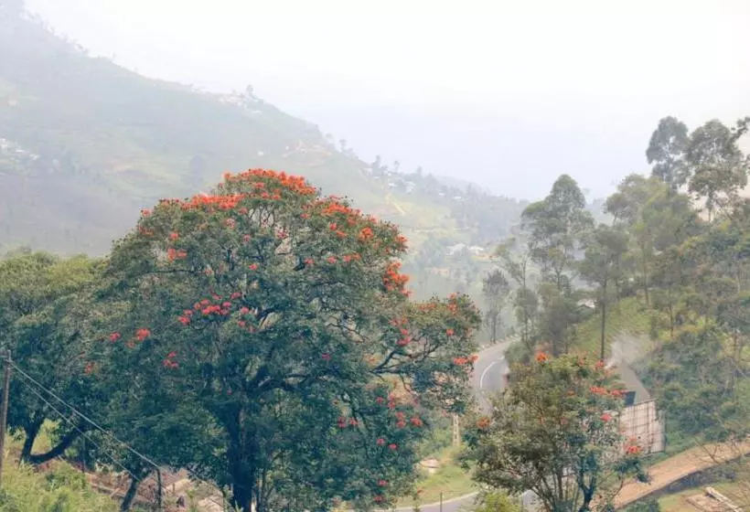 Majatalo Farah Guest Inn