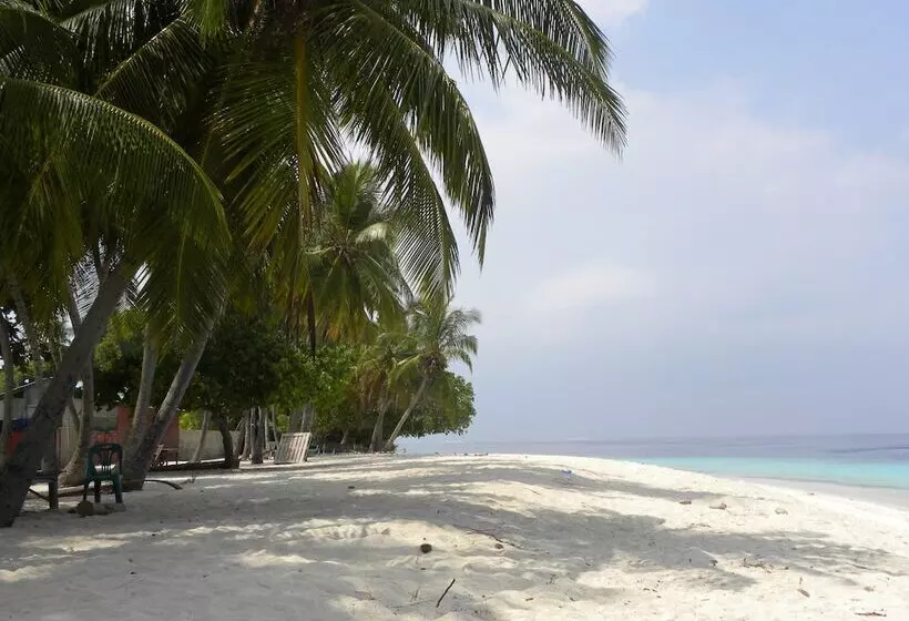 پانسیون Madi Finolhu Guesthouse