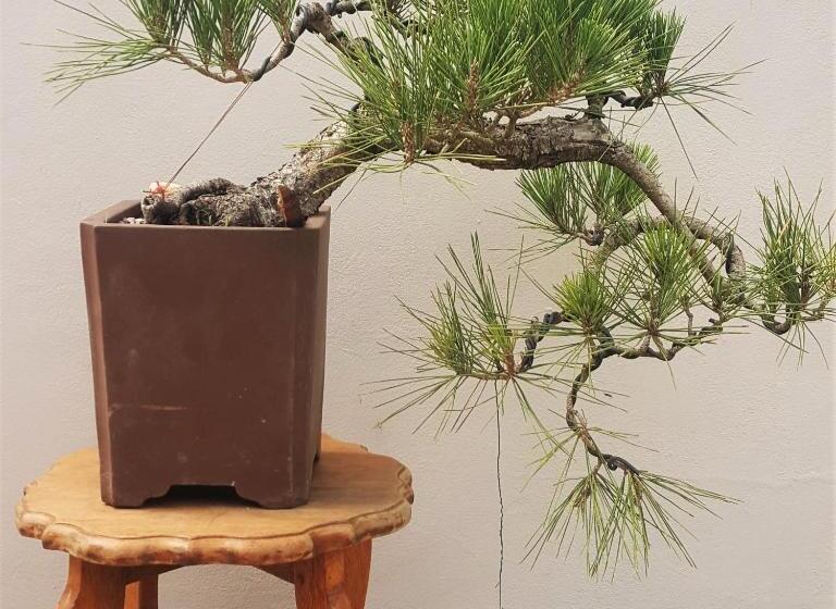 ペンション Sorgvry House Of Guests