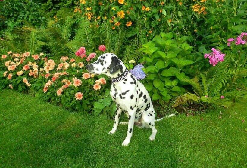 ペンション Sorgvry House Of Guests