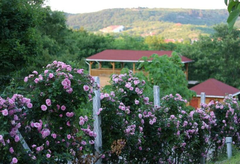 ペンション Rózsapark Vendégház