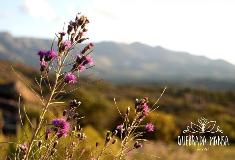 Hostel Quebrada Mansa