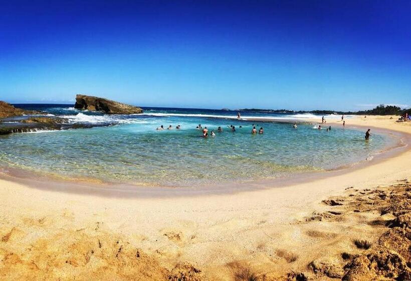 هتل Oceania Apartments At Arecibo 681 Ocean Drive