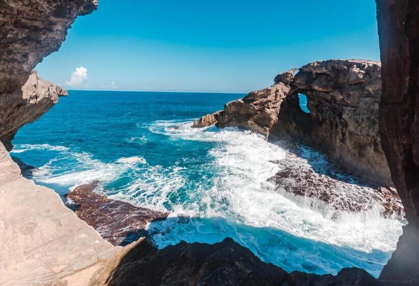 هتل Oceania Apartments At Arecibo 681 Ocean Drive