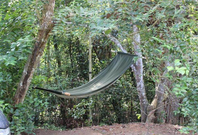 Пансион Abberny Villa