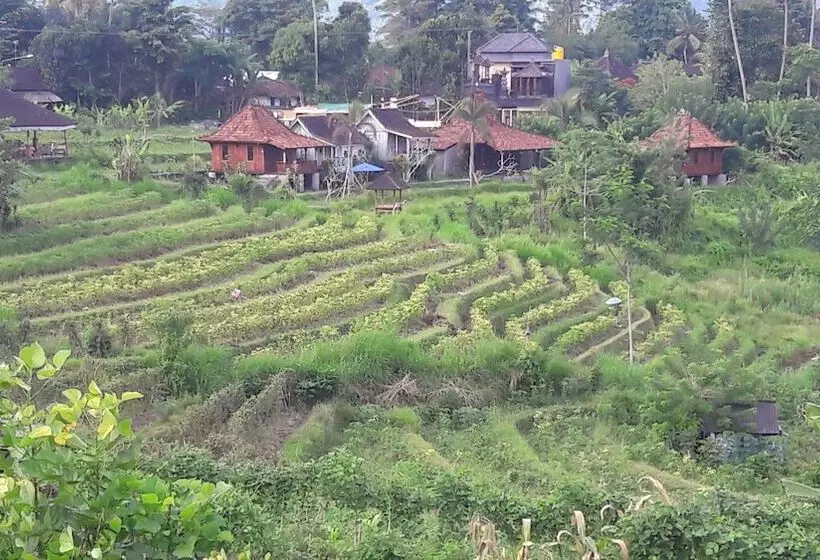 ペンション Kubu Taru