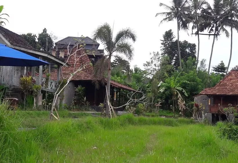 ペンション Kubu Taru